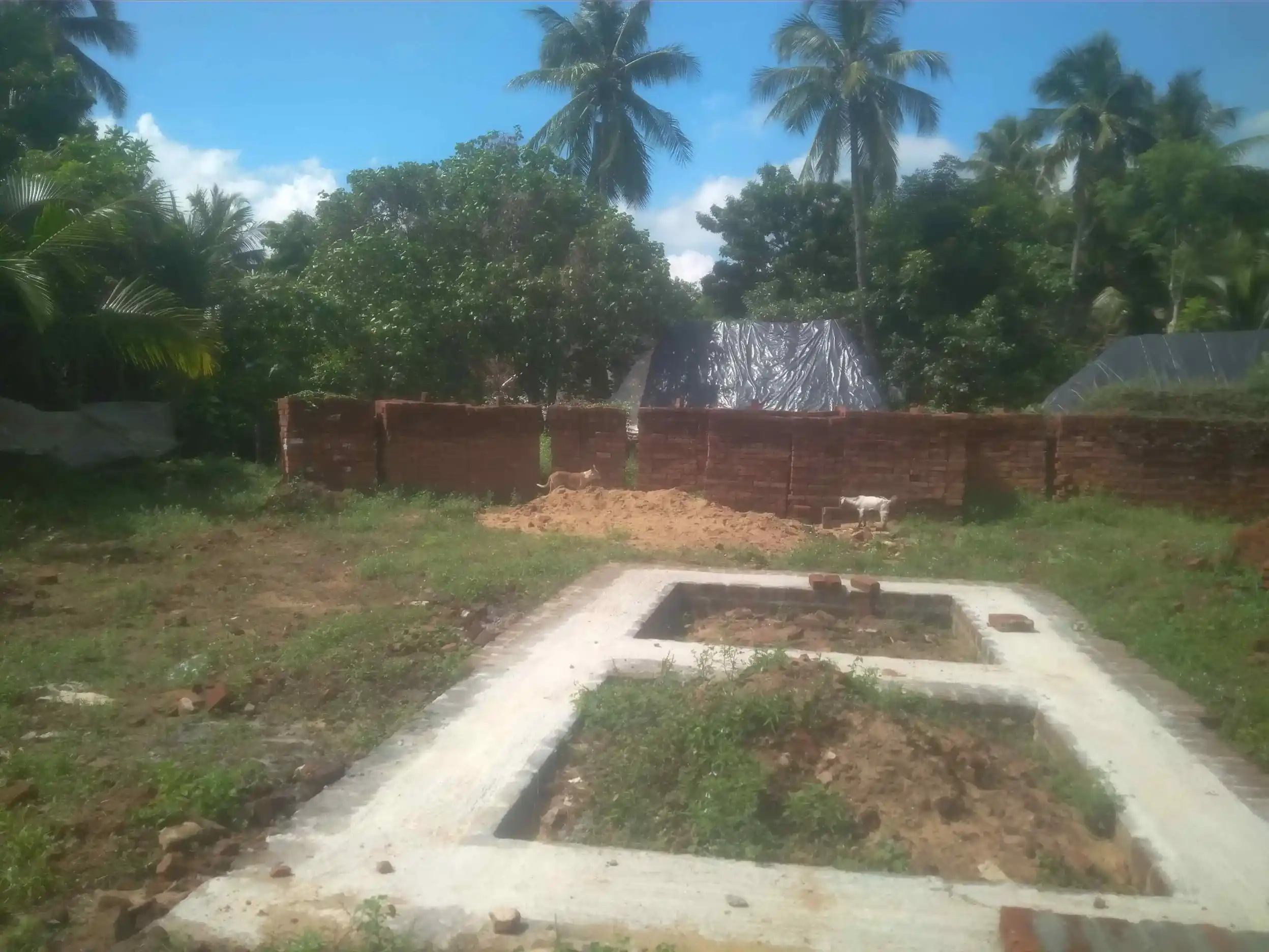 Arulmigu Margasagayesvarar Temple, Puthupidagai - 609807 அருள்மிகு மார்க்கசகாயேஸ்வரர் திருக்கோயில், Puthupidagai - 609807, Thanjavur - Ancient Temple Architecture and History Image 2