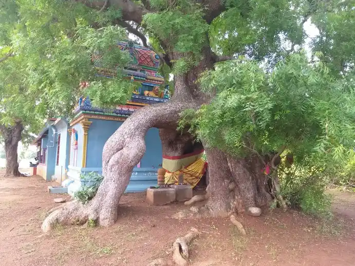 Arulmigu Mari Muthalamman Temple, Kalkulam - 603312