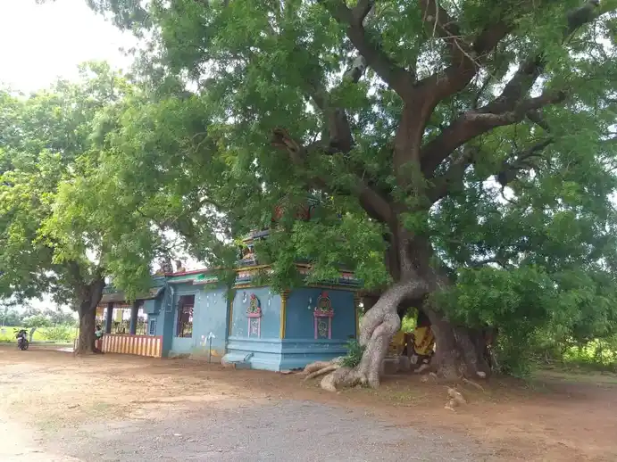 Arulmigu Mari Muthalamman Temple, Kalkulam - 603312 அருள்மிகு மாரி முத்தாலம்மன் திருக்கோயில், கல்குளம் - 603312, Chengalpattu - Ancient Temple Architecture and History Image 2