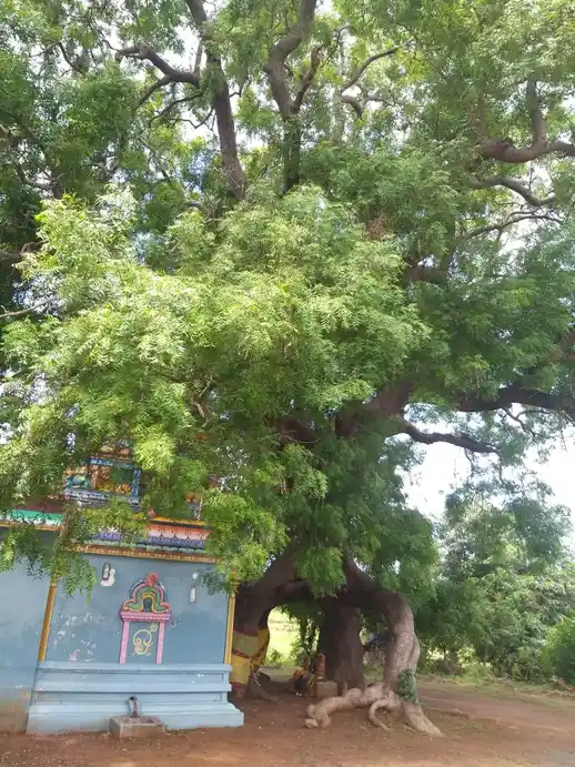 Arulmigu Mari Muthalamman Temple, Kalkulam - 603312 அருள்மிகு மாரி முத்தாலம்மன் திருக்கோயில், கல்குளம் - 603312, Chengalpattu - Ancient Temple Architecture and History Image 3