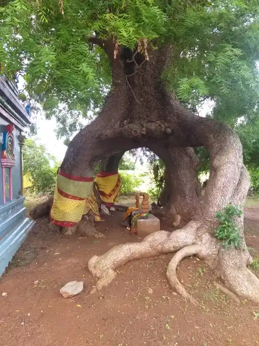 Arulmigu Mari Muthalamman Temple, Kalkulam - 603312 அருள்மிகு மாரி முத்தாலம்மன் திருக்கோயில், கல்குளம் - 603312, Chengalpattu - Ancient Temple Architecture and History Image 4