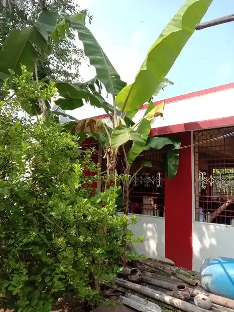 Arulmigu Mariamman Chendrayaperumal Temple, Salem Byepass Road, Pappireddipatti - 636905 அருள்மிகு மாரியம்மன் சென்றாய பெருமாள் திருக்கோயில், பாப்பிரெட்டிப்பட்டி நகர், Pappireddipatti - 636905, Dharmapuri - Ancient Temple Architecture and History Image 4