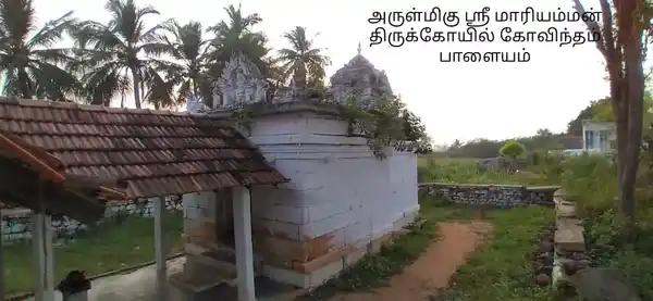 Arulmigu Mariamman Dharmaragar Temple, Govinthampalayam - 636101 அருள்மிகு மாரியம்மன், தர்மராஜர் திருக்கோயில், Govinthampalayam - 636101, Salem - Ancient Temple Architecture and History Image 6