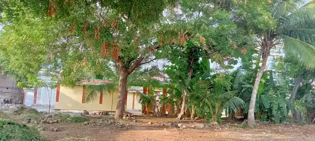 Arulmigu Mariamman Maduraveerasamy Temple, Kottappalayam, Kottappalayam - 621003