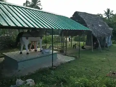 Arulmigu Mariamman Poonniamman And Ayyanar Temple, Manakkarai - 610204