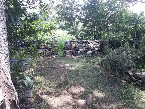 Arulmigu Mariamman Sengapidariamman Temple, Viruthasampatti, Virudasampatti - 636454 அருள்மிகு மாரியம்மன் செங்கப்பிடாரியம்மன் வகையறா திருக்கோயில், Viruthasampatti, Virudasampatti - 636454, Salem - Ancient Temple Architecture and History Image 4