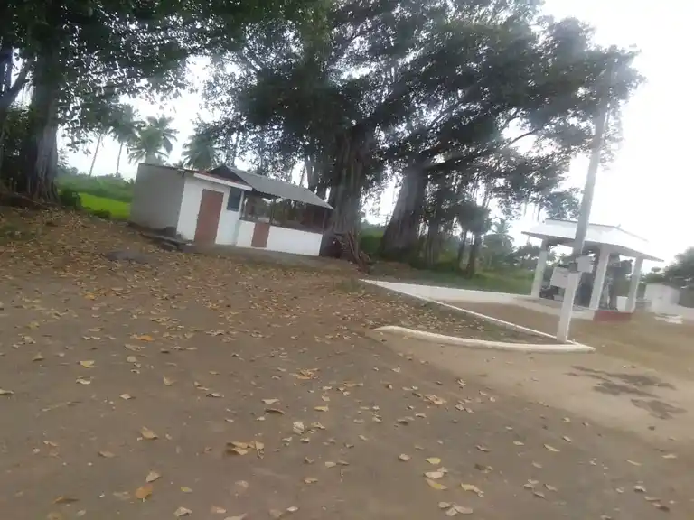 Arulmigu Mariamman Temple, Arasiramani Bit.1 - 637104