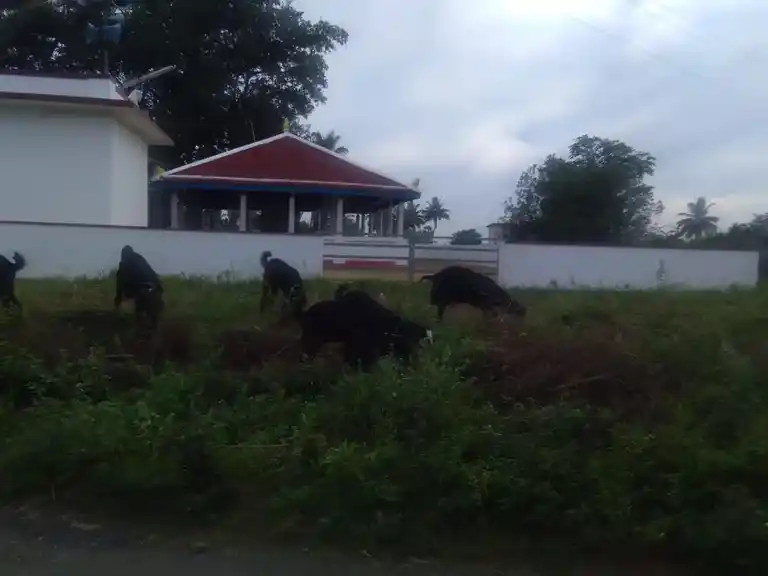 Arulmigu Mariamman Temple, Arasiramani Bit.1 - 637104 அருள்மிகு மாரியம்மன் திருக்கோயில், Arasiramani Bit.1 - 637104, Salem - Ancient Temple Architecture and History Image 2