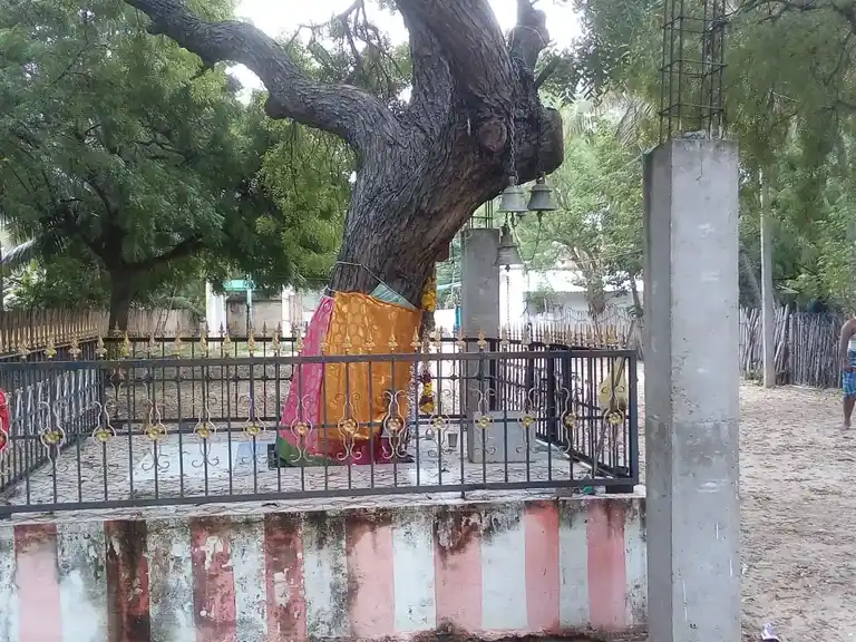 Arulmigu Mariamman Temple, Bampan - 623521 அருள்மிகு மாரியம்மன் திருக்கோயில், Bampan - 623521, Ramanathapuram - Ancient Temple Architecture and History Image 3