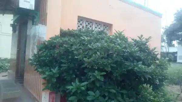 Arulmigu Mariamman Temple, Eragudi - 621001 Arulmigu Mariamman Temple, Eragudi - 621001, Thiruchirappalli - Ancient Temple Architecture and History Image 2