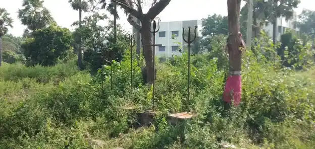 Arulmigu Mariamman Temple, Gourisettipatti - 636701 Arulmigu Mariamman Temple, Gourisettipatti - 636701, Dharmapuri - Ancient Temple Architecture and History Image 3