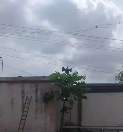 Arulmigu Mariamman Temple, Iluppili - 638501 அருள்மிகு மாரியம்மன் திருக்கோயில், Iluppili - 638501, Erode - Ancient Temple Architecture and History Image 9