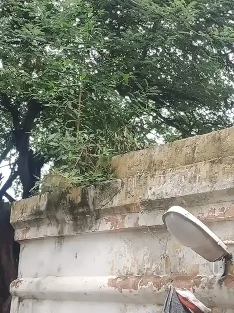 Arulmigu Mariamman Temple, Jamimineagram - 606754 அருள்மிகு மாரியம்மன் திருக்கோயில், Jamimineagram - 606754, Tiruvannamalai - Ancient Temple Architecture and History Image 3