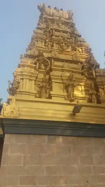 Arulmigu Mariamman Temple, Karugampalayam, Karugampalayam - 638052 அருள்மிகு மாரியம்மன் திருக்கோயில், Karugampalayam, கருகம்பாளையம் - 638052, Erode - Ancient Temple Architecture and History Image 3