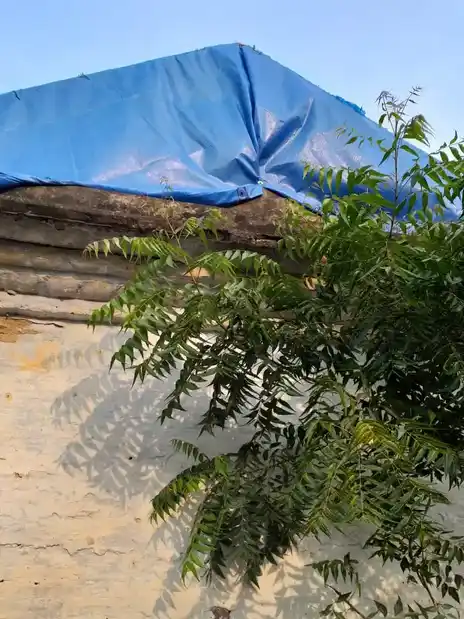 Arulmigu Mariamman Temple, Karukudi, Karugudi - 621210 Arulmigu Mariamman Temple, Karukudi, Karugudi - 621210, Thiruchirappalli - Ancient Temple Architecture and History Image 3