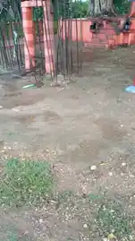 Arulmigu Mariamman Temple, Kavuthampalayam - 638103 அருள்மிகு மாரியம்மன் திருக்கோயில், Kavuthampalayam - 638103, Tiruppur - Ancient Temple Architecture and History Image 3