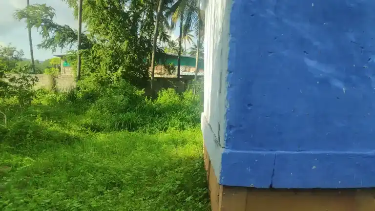 Arulmigu Mariamman Temple, Keelakoodalur - 625518 அருள்மிகு மாரியம்மன் திருக்கோயில், கீழக்கூடலூர் - 625518, Theni - Ancient Temple Architecture and History Image 3