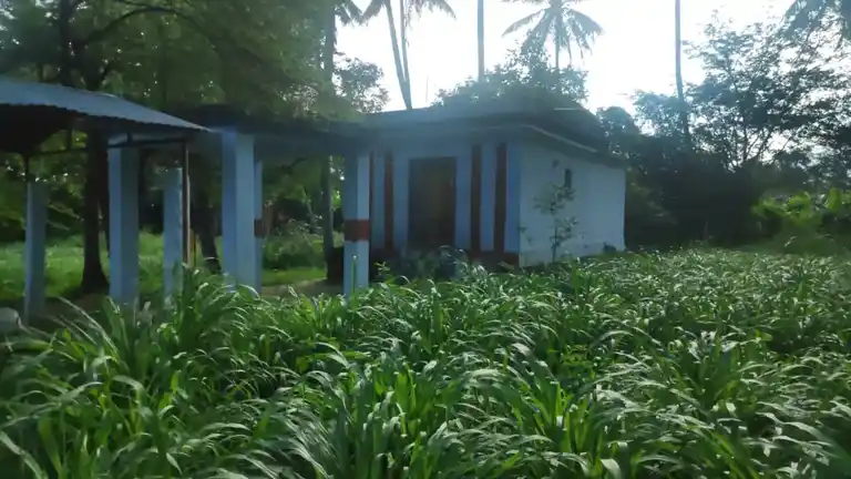 Arulmigu Mariamman Temple, Keelakoodalur - 625518 அருள்மிகு மாரியம்மன் திருக்கோயில், கீழக்கூடலூர் - 625518, Theni - Ancient Temple Architecture and History Image 5