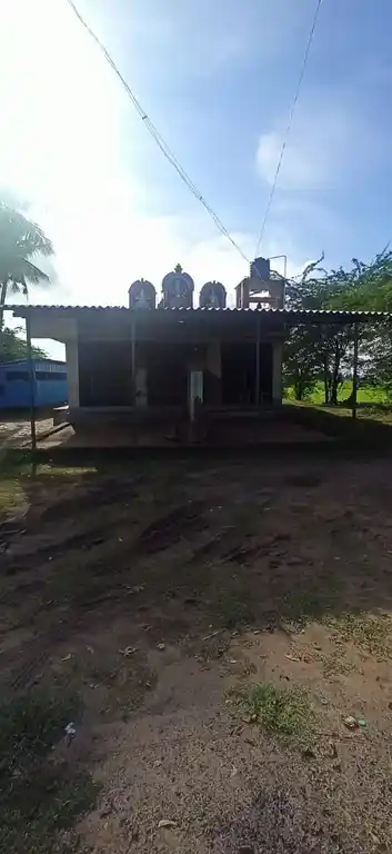 Arulmigu Mariamman Temple, Kothamangalam - 614715 மாரியம்மன் திருக்கோயில், Kothamangalam - 614715, Thiruvarur - Ancient Temple Architecture and History Image 2