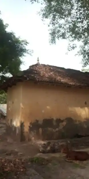 Arulmigu Mariamman Temple, Kothandavilagam - 608303 அருள்மிகு மாரியம்மன் திருக்கோயில், Kothandavilagam - 608303, Cuddalore - Ancient Temple Architecture and History Image 5