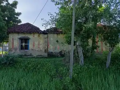 Arulmigu Mariamman Temple, Malapputhdur - 614717 மாரியம்மன் திருக்கோயில், Malapputhdur - 614717, Thiruvarur - Ancient Temple Architecture and History Image 5