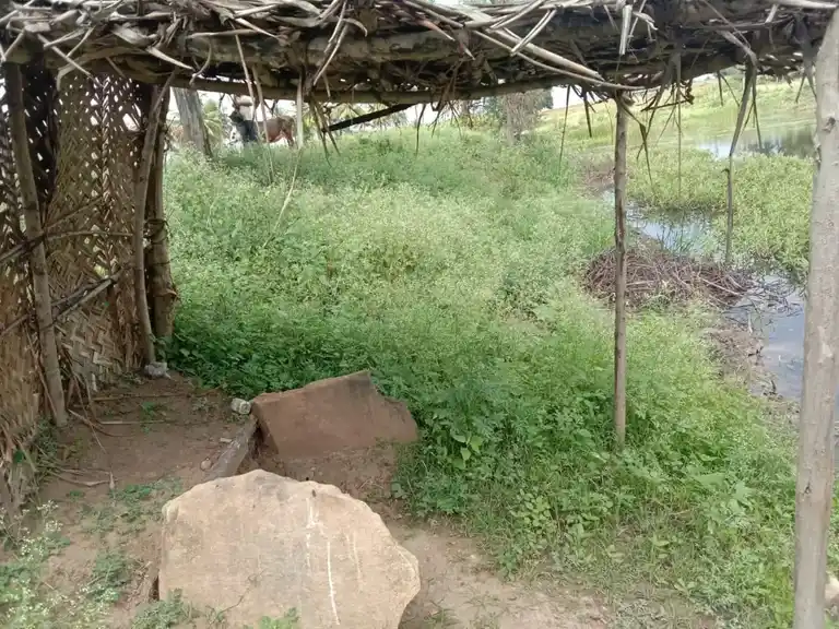 Arulmigu Mariamman Temple, Malkuthipuram - 638503 அருள்மிகு மாரியம்மன் திருக்கோயில், Malkuthipuram - 638503, Erode - Ancient Temple Architecture and History Image 3