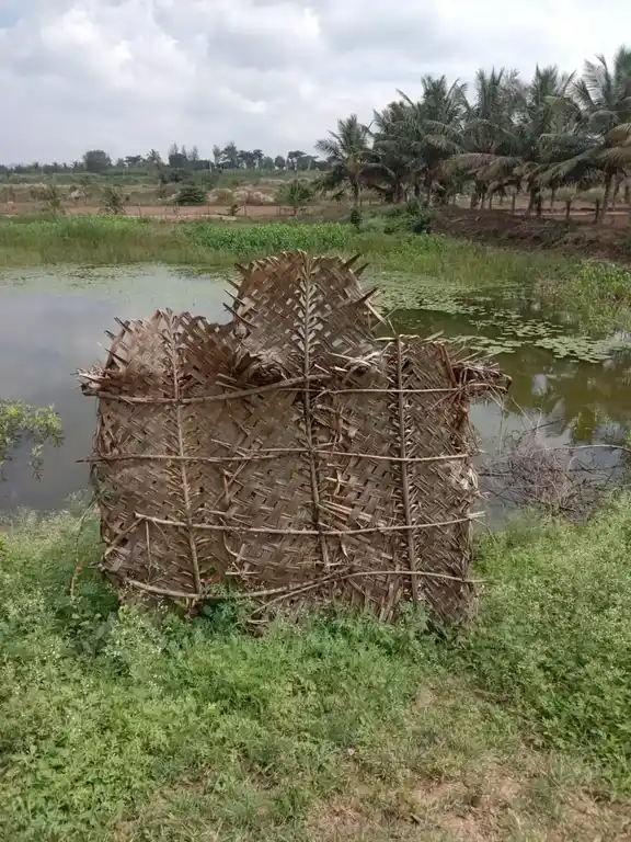 Arulmigu Mariamman Temple, Malkuthipuram - 638503 அருள்மிகு மாரியம்மன் திருக்கோயில், Malkuthipuram - 638503, Erode - Ancient Temple Architecture and History Image 4