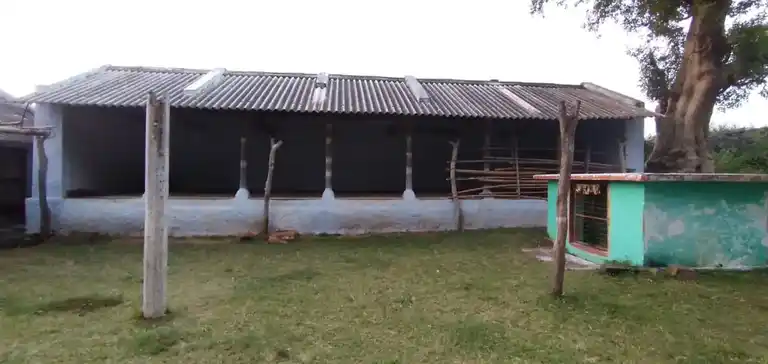 Arulmigu Mariamman Temple, Mollepalayam - 638401 அருள்மிகு மாரியம்மன் திருக்கோயில், Mollepalayam - 638401, Erode - Ancient Temple Architecture and History Image 4