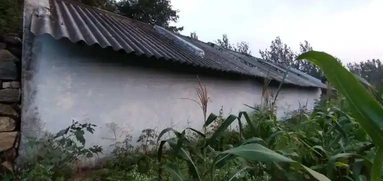 Arulmigu Mariamman Temple, Mollepalayam - 638401 அருள்மிகு மாரியம்மன் திருக்கோயில், Mollepalayam - 638401, Erode - Ancient Temple Architecture and History Image 5