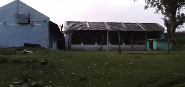 Arulmigu Mariamman Temple, Mollepalayam - 638401 அருள்மிகு மாரியம்மன் திருக்கோயில், Mollepalayam - 638401, Erode - Ancient Temple Architecture and History Image 8