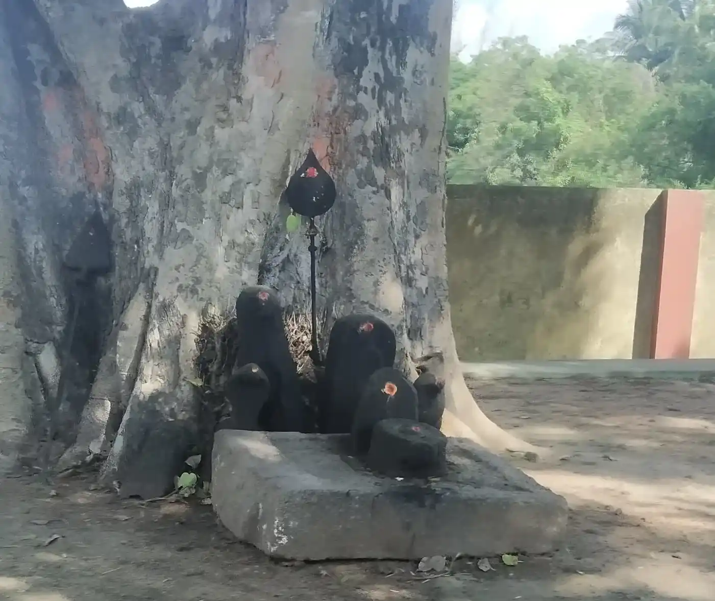 Arulmigu Mariamman Temple, Mylaripayam, Vilankurichy - 641035 அருள்மிகு மாரியம்மன் திருக்கோயில், Mylaripayam, விலங்குறிச்சி - 641035, Coimbatore - Ancient Temple Architecture and History Image 3