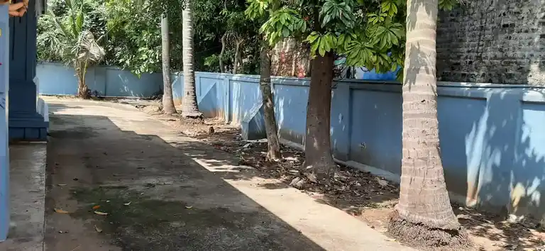 Arulmigu Mariamman Temple, Nallathur - 605106 அருள்மிகு மாரியம்மன் திருக்கோயில், Nallathur - 605106, Cuddalore - Ancient Temple Architecture and History Image 3