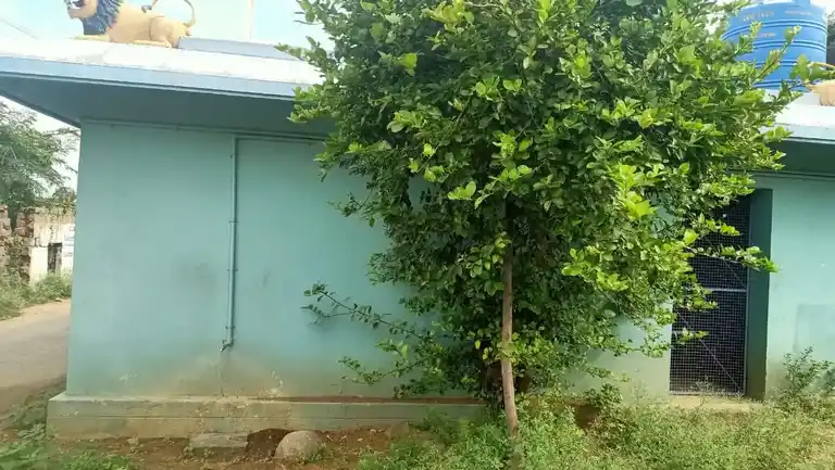 Arulmigu Mariamman Temple, Near Barrage, Kolnayakkanpatti - 636452 அருள்மிகு மாரியம்மன் திருக்கோயில், Near Barrage, Kolnayakkanpatti - 636452, Salem - Ancient Temple Architecture and History Image 3