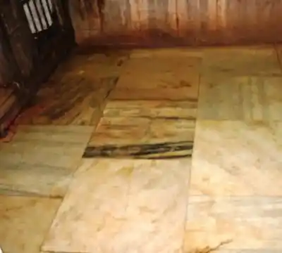 Arulmigu Mariamman Temple, Near Teppakkulam, Thiruchirappalli - 620002 அருள்மிகு மாரியம்மன் திருக்கோயில், தெப்பக்குளம் அருகில், Thiruchirappalli - 620002, Thiruchirappalli - Ancient Temple Architecture and History Image 6