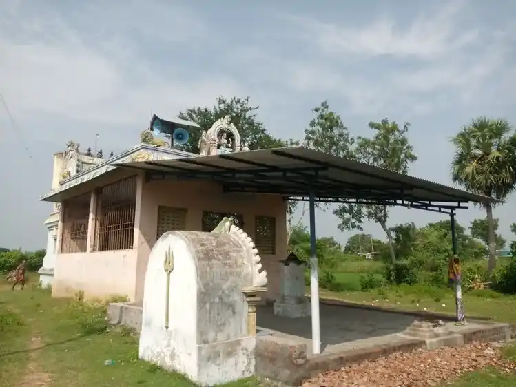 Arulmigu Mariamman Temple, Nedungulam - 609403 அருள்மிகு மாரியம்மன் திருக்கோயில், Nedungulam - 609403, Thiruvarur - Ancient Temple Architecture and History Image 3