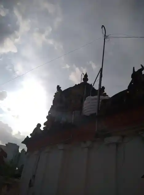 Arulmigu Mariamman Temple, Neduvasal - 614401 அருள்மிகு மாரியம்மன் திருக்கோயில், Neduvasal - 614401, Thanjavur - Ancient Temple Architecture and History Image 4