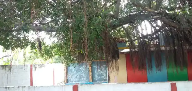 Arulmigu Mariamman Temple, P.S.Agraharam - 636809