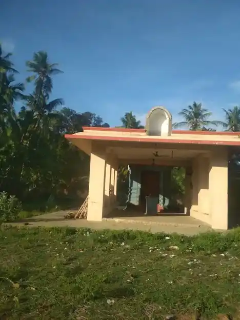 Arulmigu Mariamman Temple, Panayur - 613203 அருள்மிகு மாரியம்மன் திருக்கோயில், Panayur - 613203, Thanjavur - Ancient Temple Architecture and History Image 5