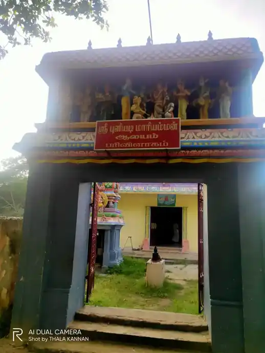 Arulmigu Mariamman Temple, Parivilagam - 608305 அருள்மிகு மாரியம்மன் திருக்கோயில், Parivilagam - 608305, Cuddalore - Ancient Temple Architecture and History Image 2