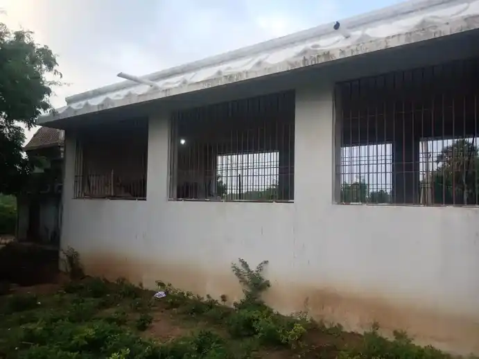 Arulmigu Mariamman Temple, Pinnathoor - 608102 அருள்மிகு மாரியம்மன் திருக்கோயில், Pinnathoor - 608102, Cuddalore - Ancient Temple Architecture and History Image 3