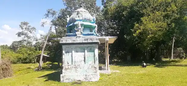 Arulmigu Mariamman Temple, Pinnathur - 614706 அருள்மிகு மாரியம்மன் திருக்கோயில், Pinnathur - 614706, Thiruvarur - Ancient Temple Architecture and History Image 2