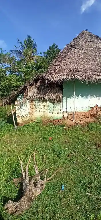Arulmigu Mariamman Temple, Rayanallur - 614715 மாரியம்மன் திருக்கோயில், Rayanallur - 614715, Thiruvarur - Ancient Temple Architecture and History Image 2