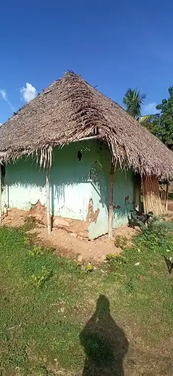 Arulmigu Mariamman Temple, Rayanallur - 614715 மாரியம்மன் திருக்கோயில், Rayanallur - 614715, Thiruvarur - Ancient Temple Architecture and History Image 3