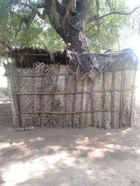 Arulmigu Mariamman Temple, Shangaramdamplayam - 638706