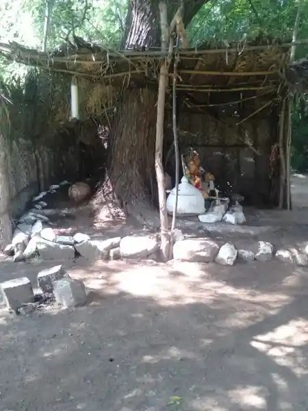 Arulmigu Mariamman Temple, Shangaramdamplayam - 638706 அருள்மிகு மாரியம்மன் திருக்கோயில், சங்கரண்டாம்பாளையம் - 638706, Tiruppur - Ancient Temple Architecture and History Image 4