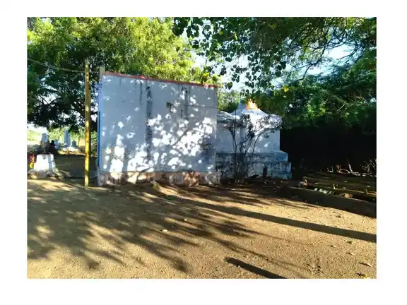 Arulmigu Mariamman Temple, Srivaikundam - 628601 அருள்மிகு மாரியம்மன் திருக்கோயில், Srivaikundam - 628601, Thoothukudi - Ancient Temple Architecture and History Image 5