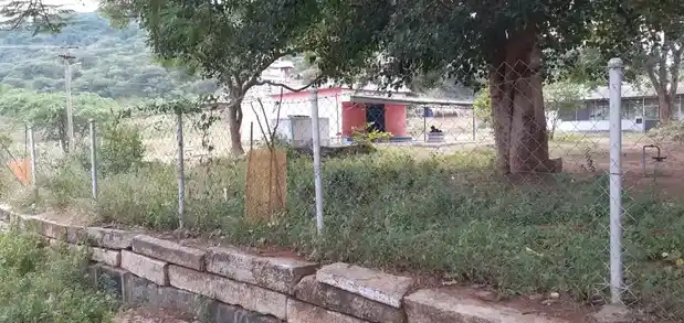 Arulmigu Mariamman Temple, Tholampalayam, Karamadai - 641104