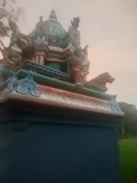 Arulmigu Mariamman Temple, Uthamacholagan - 608304 அருள்மிகு மாரியம்மன் திருக்கோயில், Uthamacholagan - 608304, Cuddalore - Ancient Temple Architecture and History Image 4