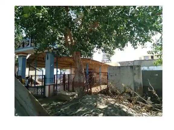 Arulmigu Mariamman Temple, Vallanadu North - 628252 அருள்மிகு மாரியம்மன் திருக்கோயில், Vallanadu North - 628252, Thoothukudi - Ancient Temple Architecture and History Image 3