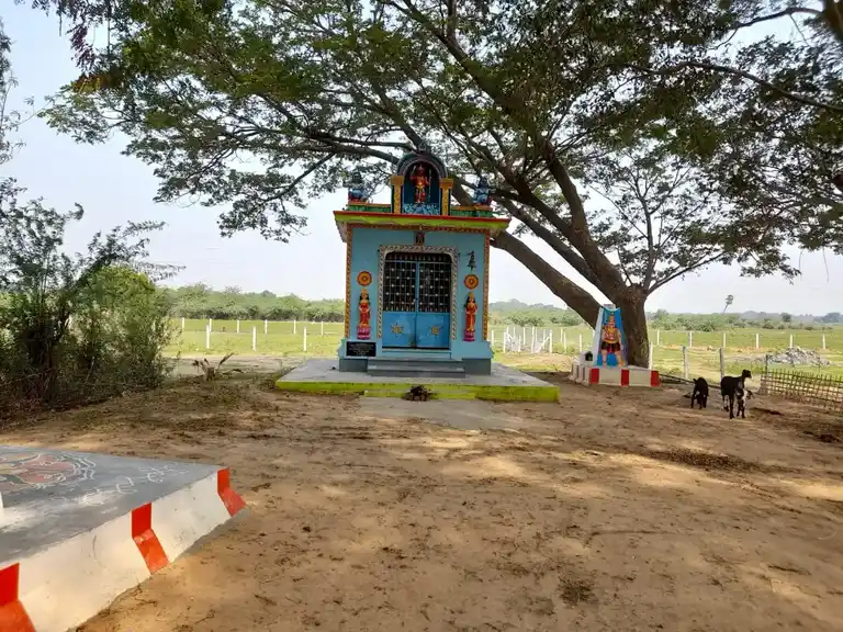 Arulmigu Mariamman Temple, Vanaarpettai - 627002 அருள்மிகு மாரியம்மன் திருக்கோயில், Vanaarpettai - 627002, Tirunelveli - Ancient Temple Architecture and History Image 2